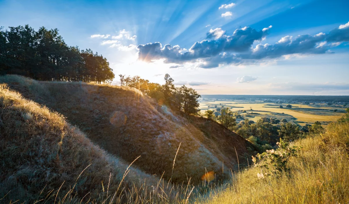 Czy warto wdrożyć GOZ do końca 2025