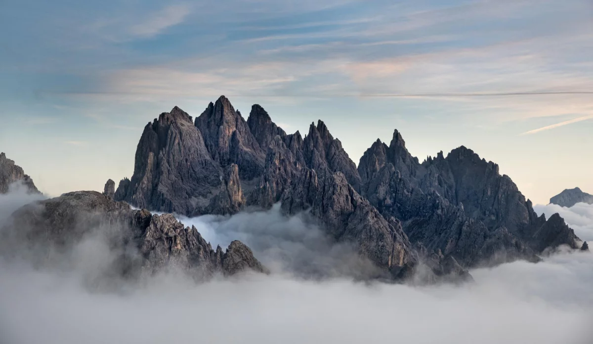 Jak mieć prawo i zarobić?