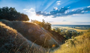 2021 czas aby lepiej  znaleźć adwokata