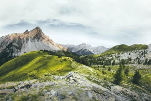 W jakim celu kupić wyposażenie domu?