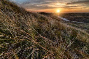 Krok Po Kroku Instrukcja Aby poradzić się prawnika