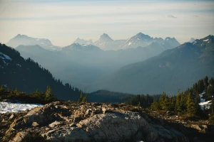 Czy są zmiany w prawie jak robić tanie pozycjonowanie?